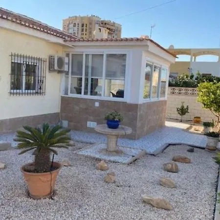 Modern In With Swimming Pool